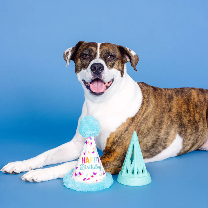 Yappy Barkday Rubber Plush Dog Toy