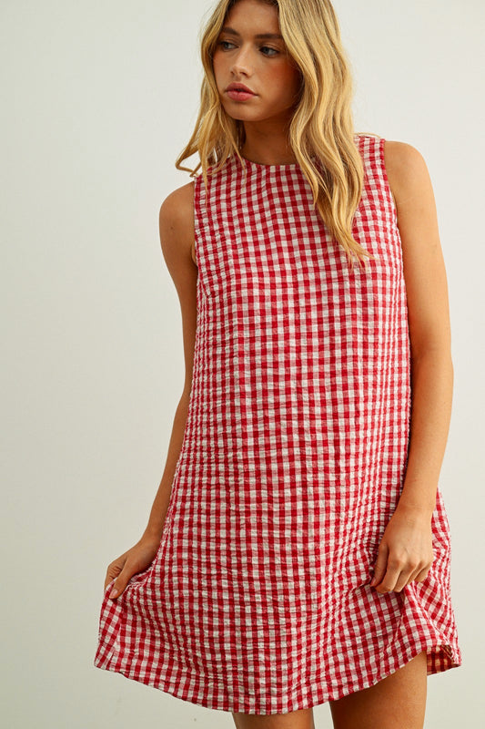 Gracie Gingham Pattern Sleeveless Open Back Detail Dress