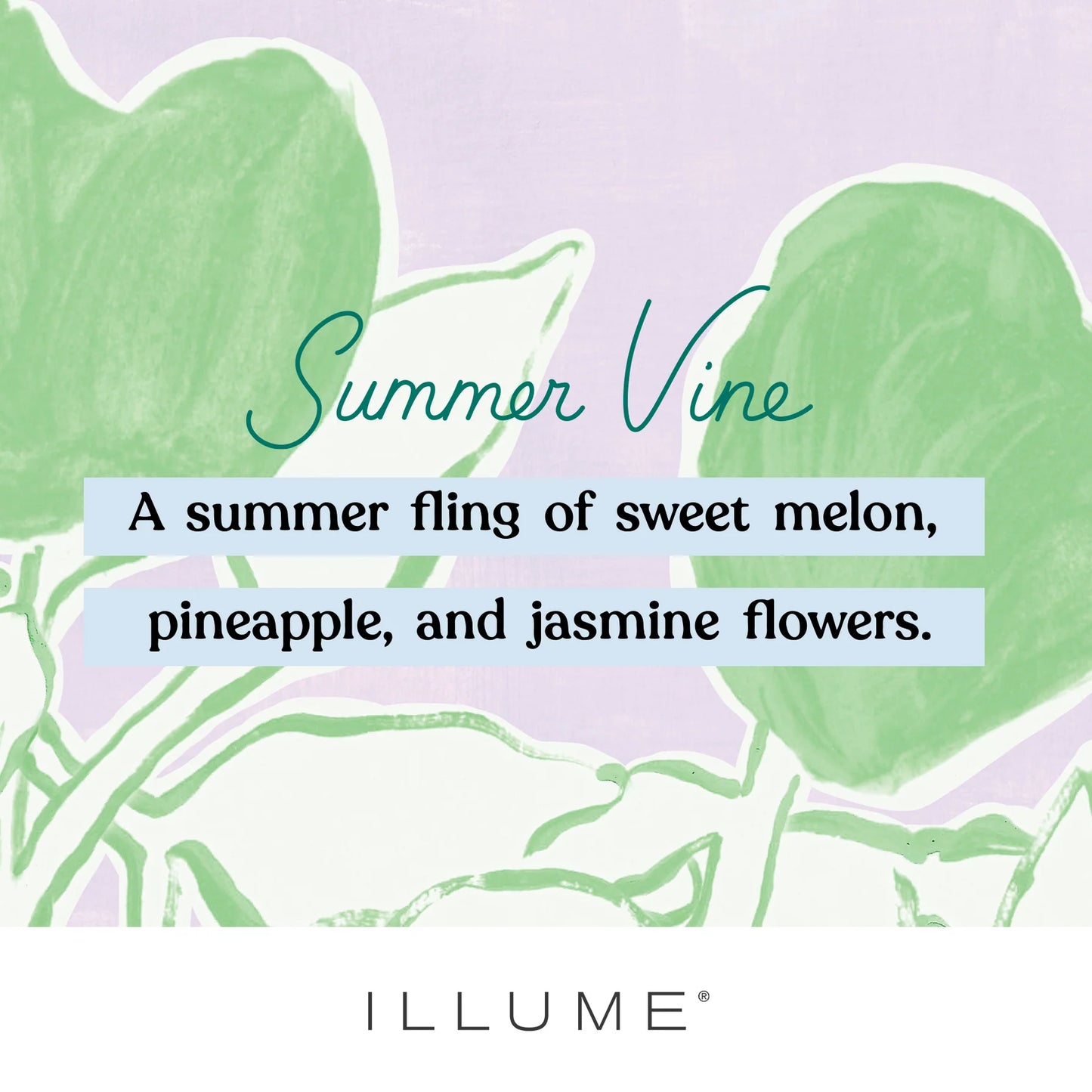Summer Vine Fleur Tin Candle