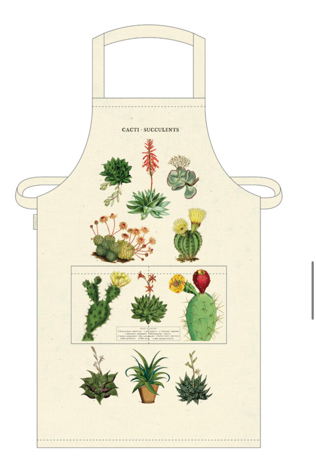 CAVALLINI  APRONS