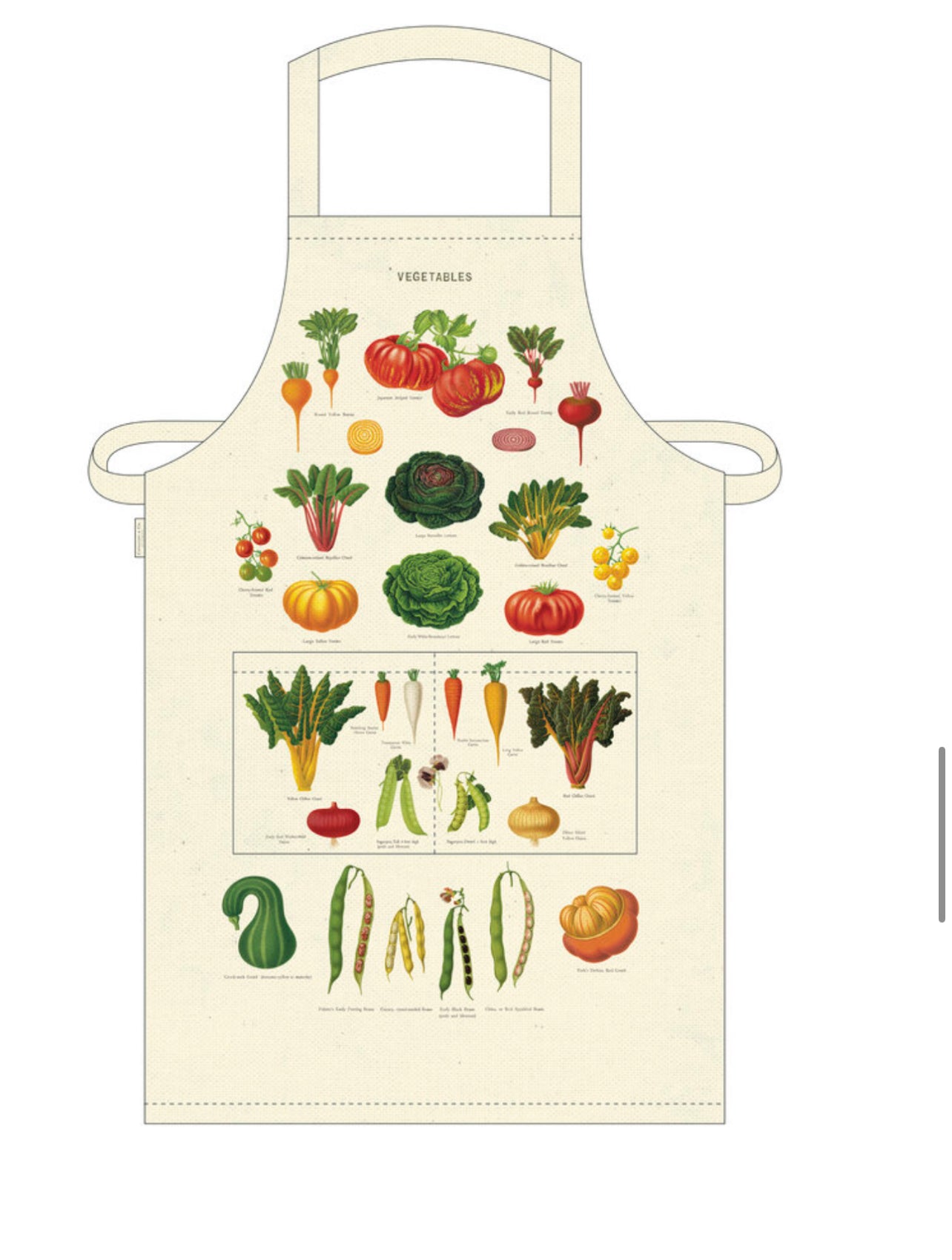 CAVALLINI  APRONS