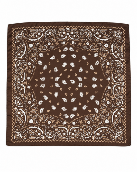Brown Paisley Print Satin Square Scarf
