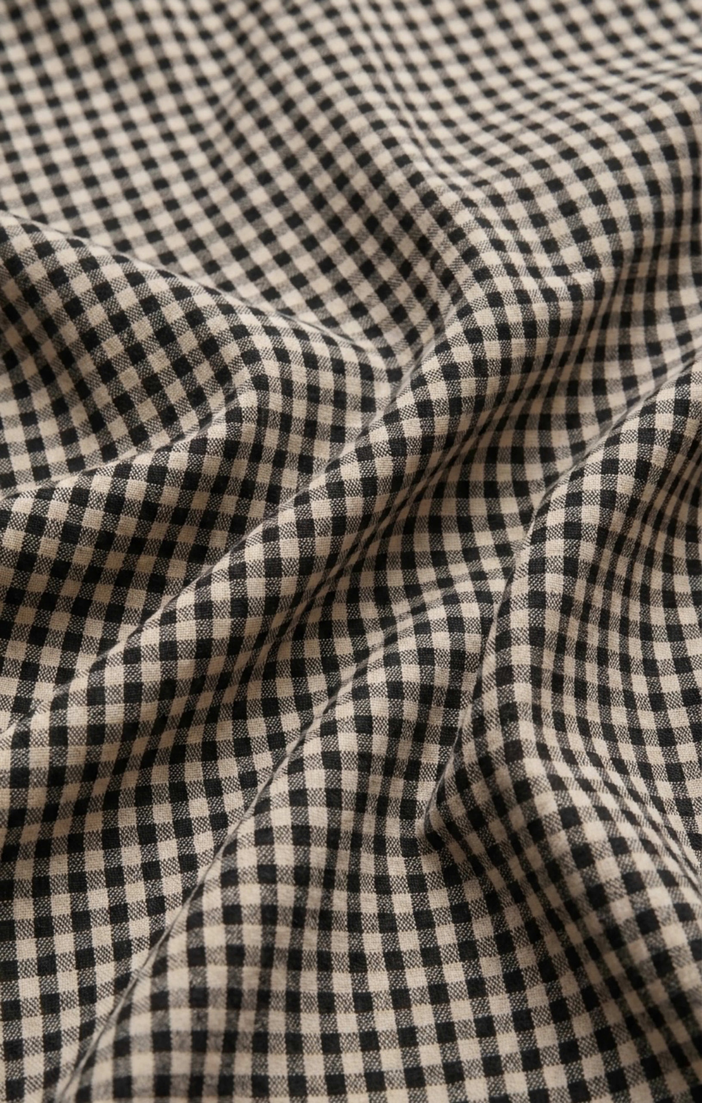 Z Supply | Brooke Gingham Maxi Skirt