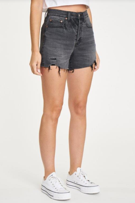 Bottom Line High Rise Vintage Short in Ashes