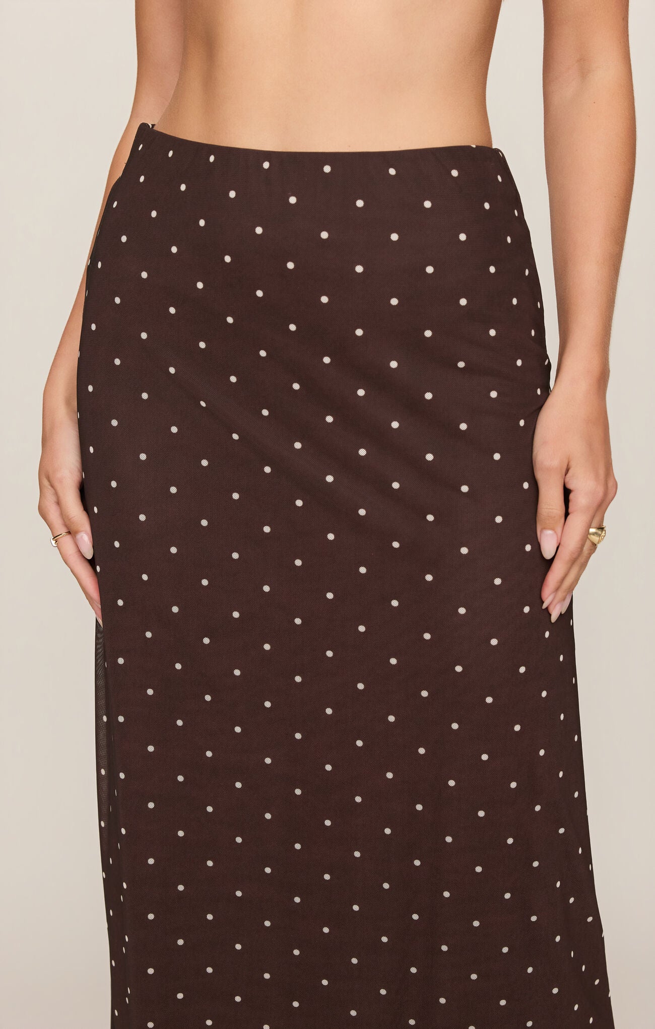 Z Supply | Eda Polka Dot Mesh Midi Skirt