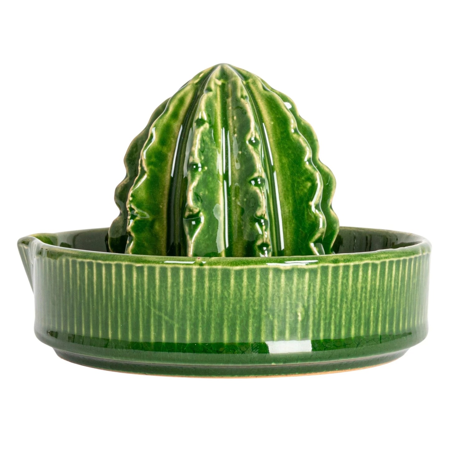 Stoneware Cactus Shaped Juicer