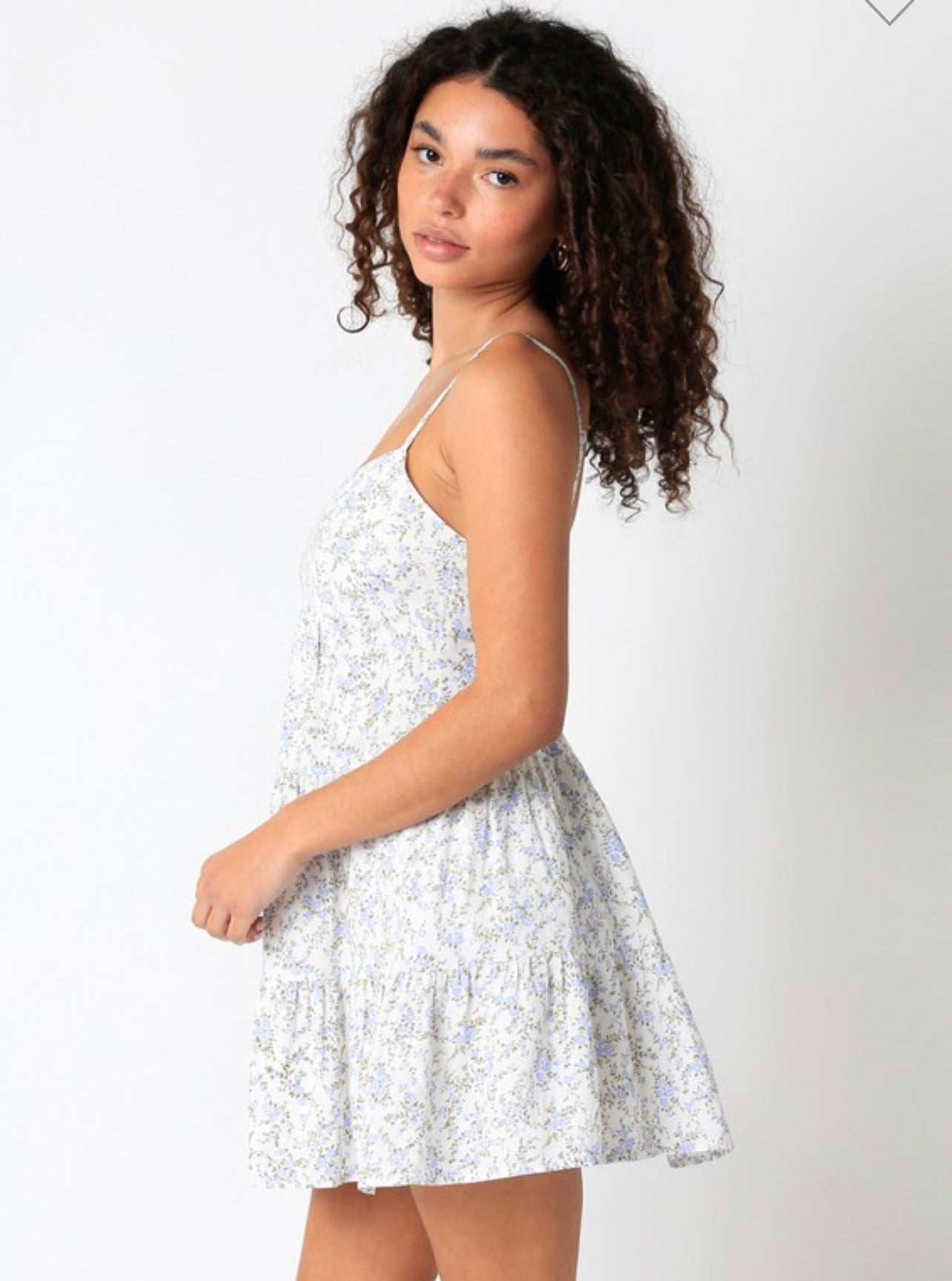Claudia Mini Dress – Sonoran Rose Boutique