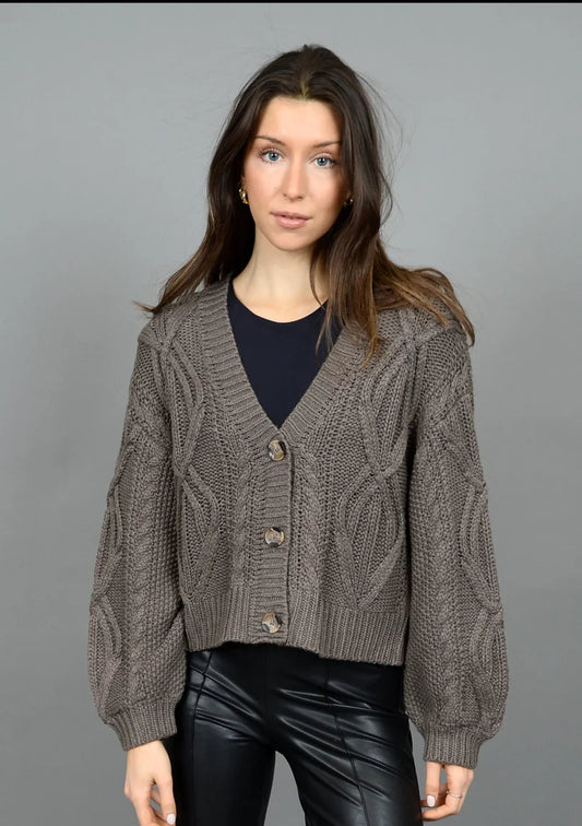 Ignacia Long Sleeve V Neck Cardigan