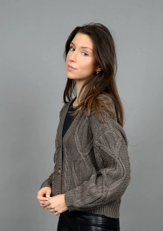 Ignacia Long Sleeve V Neck Cardigan